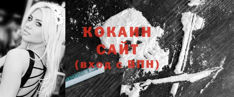 купить наркоту  Петухово  COCAIN FishScale 